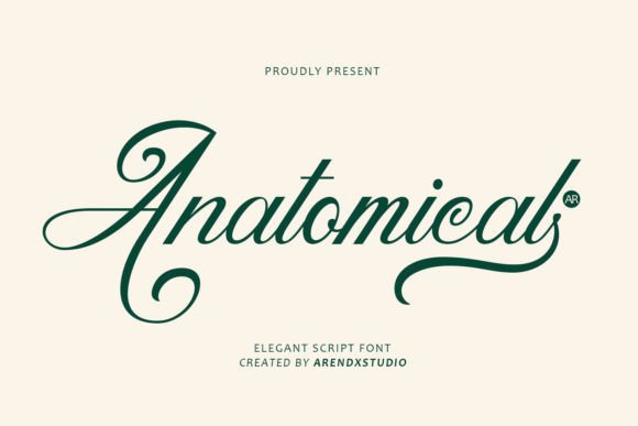 Anatomical Font: Elevating Handmade Brands with Elegant Script
