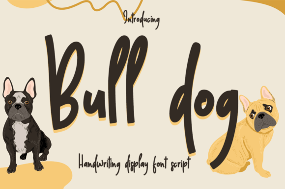 Bull Dog Font Review: A Web Designer's Take on This Script Typeface
