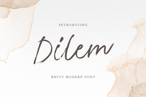 Dilem Font Review: Elegant Script for Web Headers