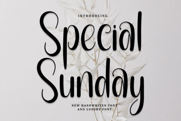 Special Sunday: A Refined Handwritten Font for Modern Branding